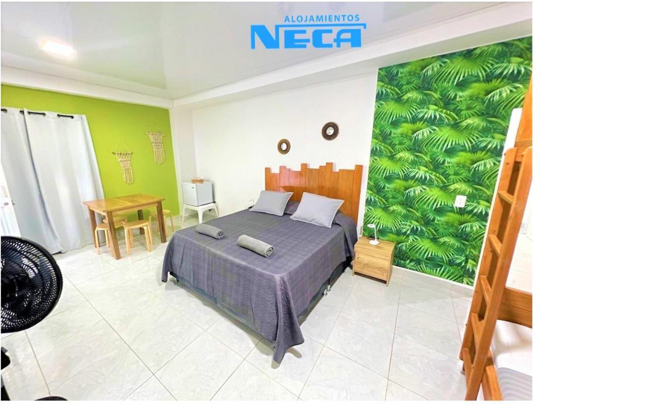 Alojamientos Neca San Andrés Εξωτερικό φωτογραφία